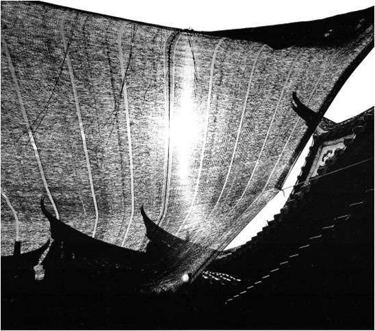 藝術收藏的樂趣(二)