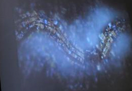 ArtSpace@TPK天來藝文空間 藝術家介紹 _劉肇興