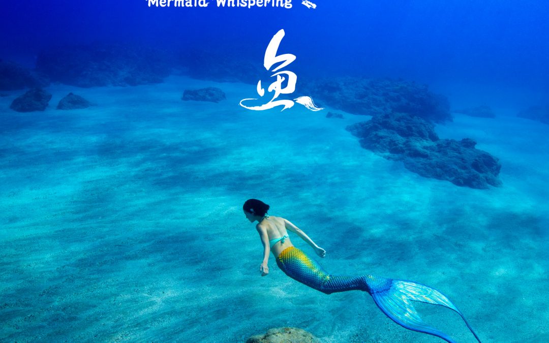 賀!   入圍第53屆金鐘獎