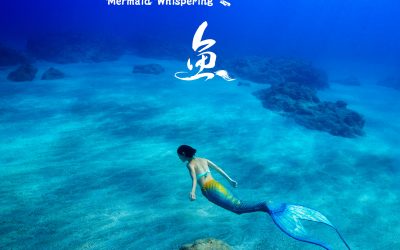 賀!   入圍第53屆金鐘獎