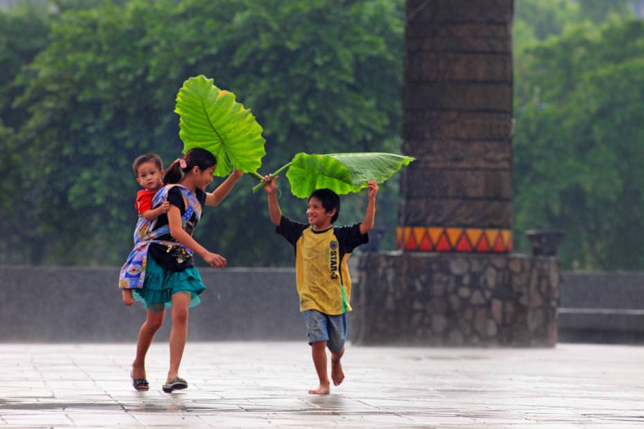 雨來了!背著小弟弟的姐姐,以海芋葉遮雨帶小哥哥快跑要回家.原住民的小孩很小就要當小媽媽帶小孩,是宿命亦是苦中作樂?