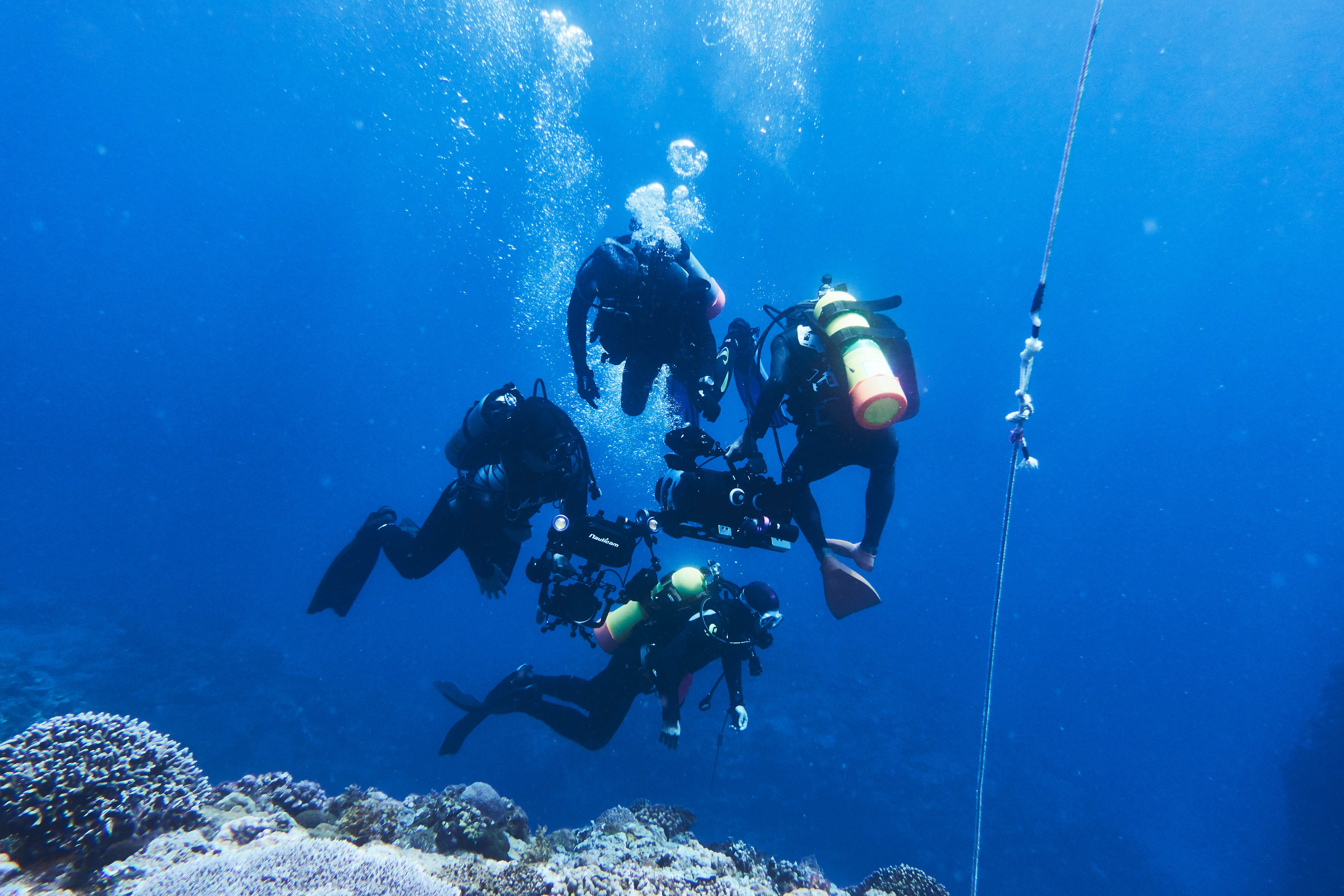 台灣首屈一指水中攝影團隊傾力打造 《海。人。魚》籲珍惜海洋資源