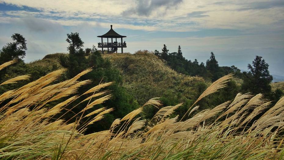 儘管眼前金黃色的芒草訴說著秋收和歇息但是我知道在層層的阻礙之後是更高的彼岸和更寬廣的視野