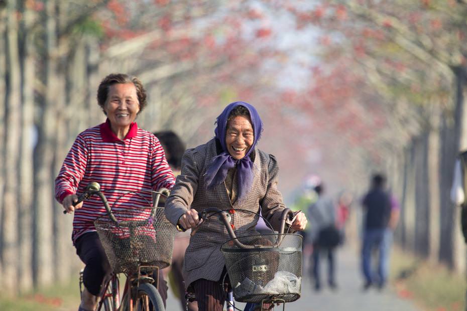 陽光與阿嬤的微笑之美讓人感動這真實之美.