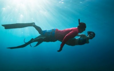 台北電影獎 [海 人 魚] 入選劇情長片